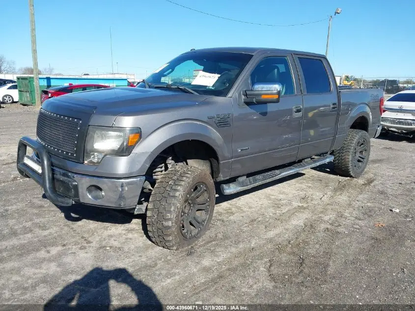 2011 FORD F-150 XLT