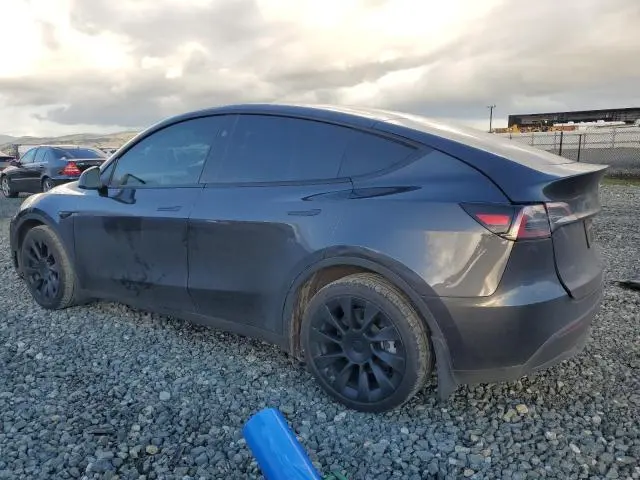 2025 TESLA MODEL Y   