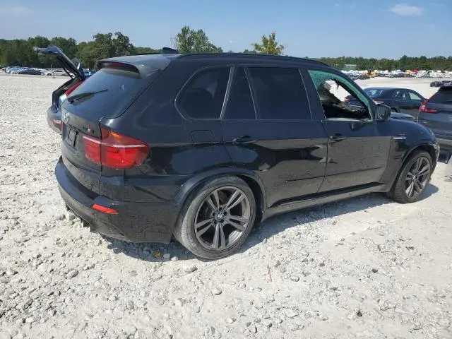 2010 BMW X5 M  