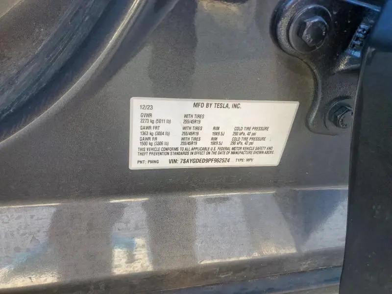 2023 TESLA MODEL Y   