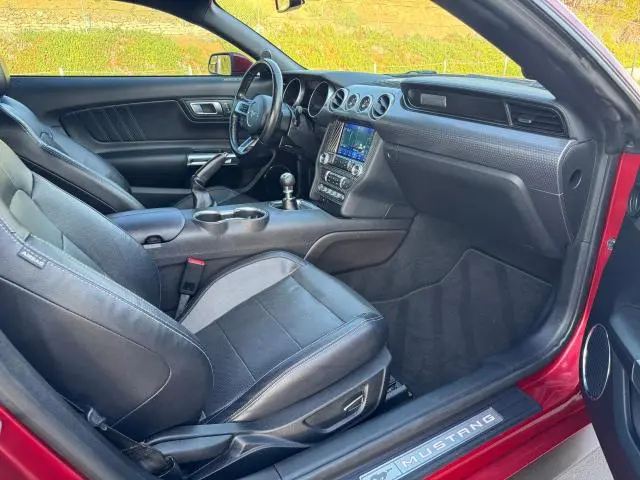 2019 FORD MUSTANG GT  