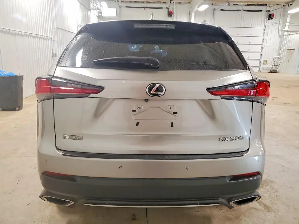 2019 LEXUS NX 300 F SPORT  