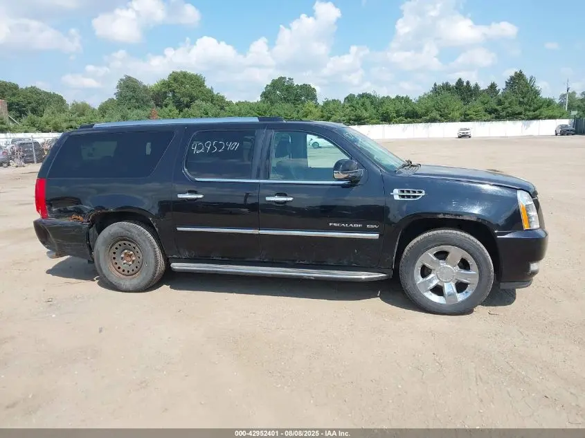 2010 CADILLAC ESCALADE ESV LUXURY