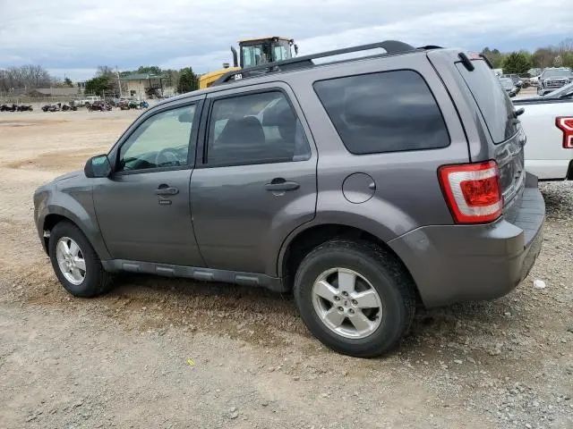 2011 FORD ESCAPE XLT
