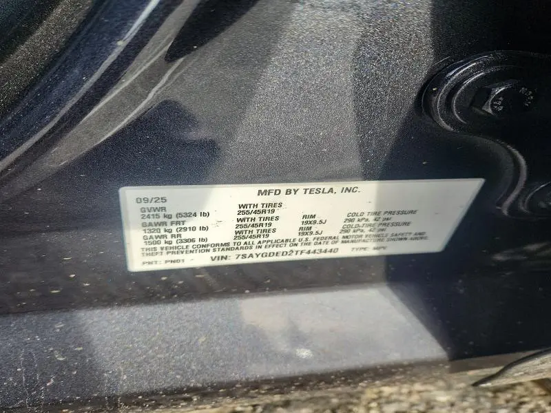 2026 TESLA MODEL Y   