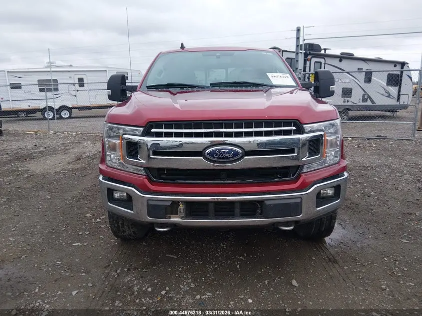 2019 FORD F-150 XLT