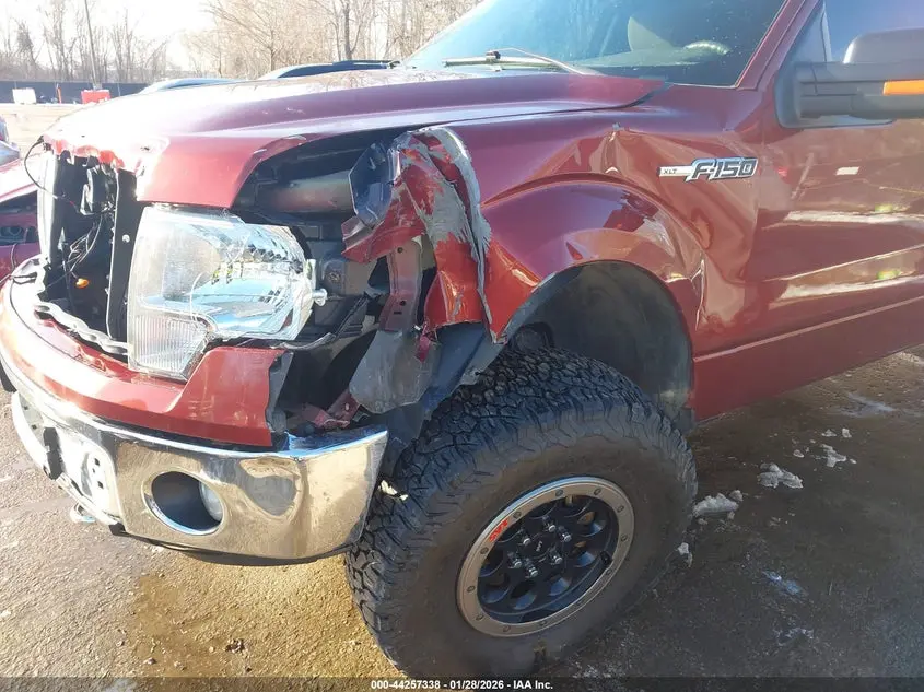 2014 FORD F-150 XLT