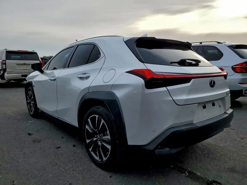2019 LEXUS UX 200  