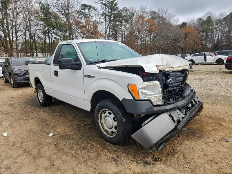 2010 FORD F150   