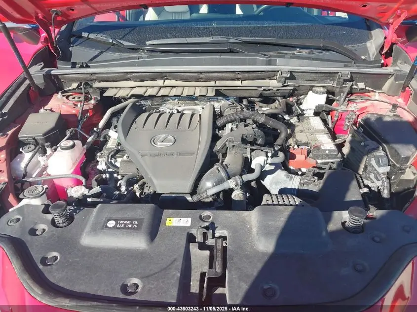 2024 LEXUS NX 350 PREMIUM