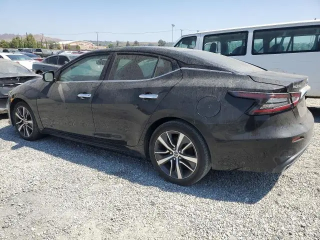2019 NISSAN MAXIMA S  