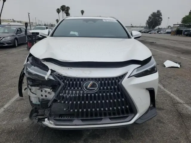 2024 LEXUS NX 350 BASE  
