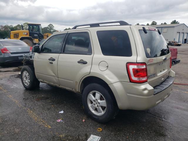 2010 FORD ESCAPE XLT