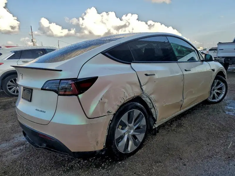 2020 TESLA MODEL Y   