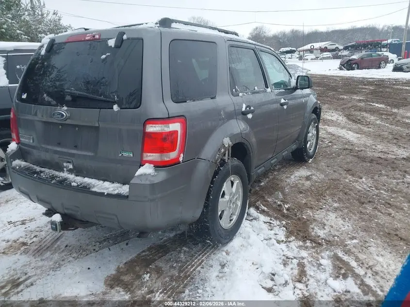 2010 FORD ESCAPE XLT