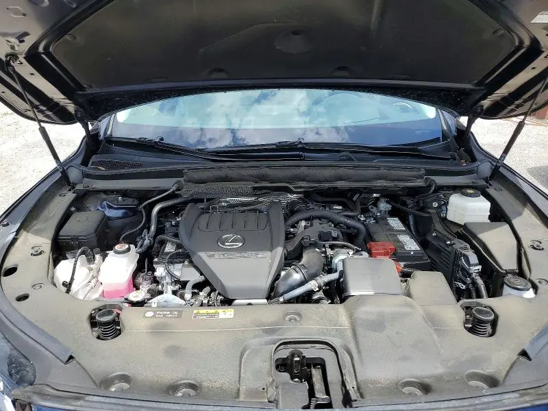 2024 LEXUS RX 350 PREMIUM+  