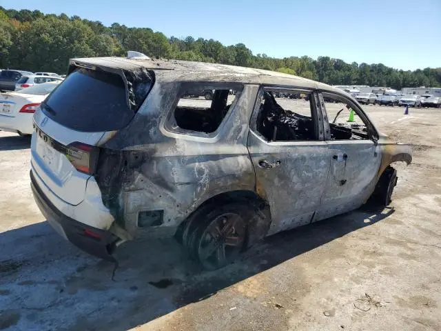 2025 HONDA PILOT EXL