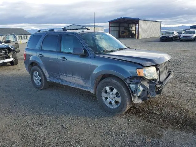 2011 FORD ESCAPE LIMITED  