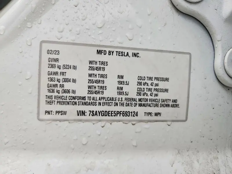 2023 TESLA MODEL Y   