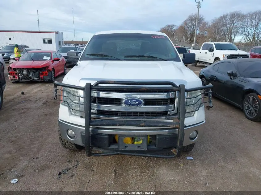 2014 FORD F-150 XLT