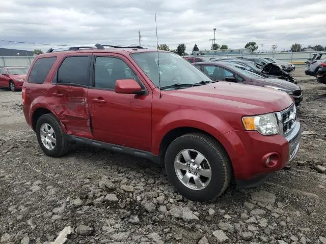 2011 FORD ESCAPE LIMITED  