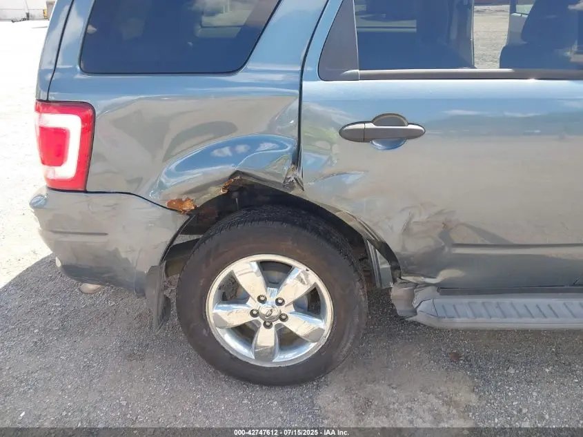 2010 FORD ESCAPE XLT