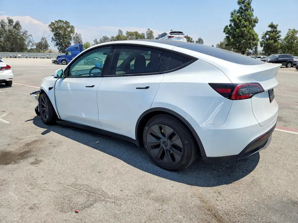2025 TESLA MODEL Y   