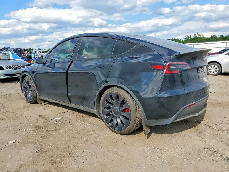 2025 TESLA MODEL Y   