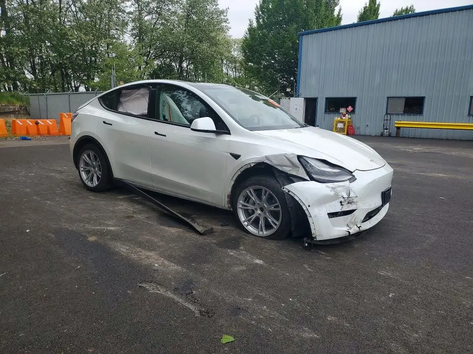 2021 TESLA MODEL Y   
