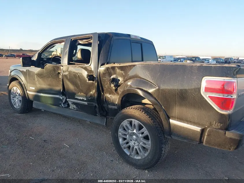 2013 FORD F-150 PLATINUM