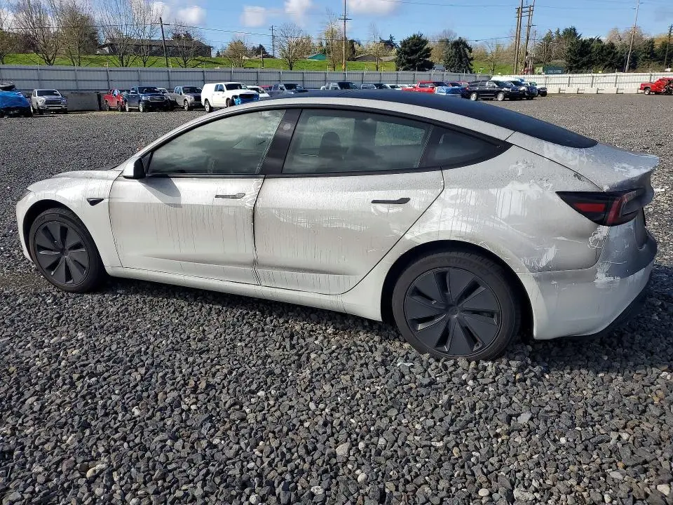 2025 TESLA MODEL 3   