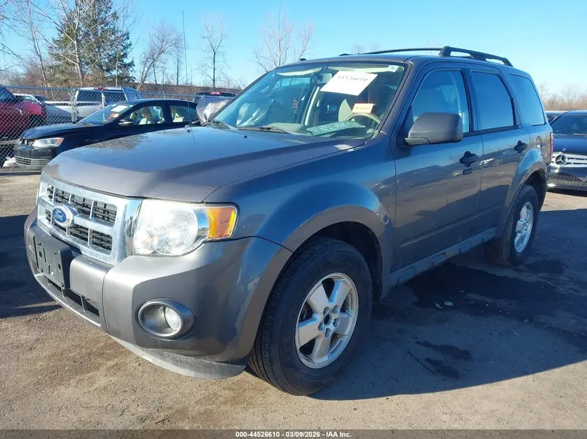 2010 FORD ESCAPE XLT