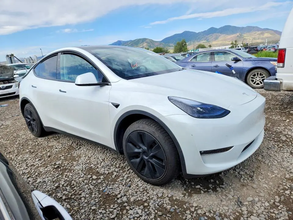 2025 TESLA MODEL Y   