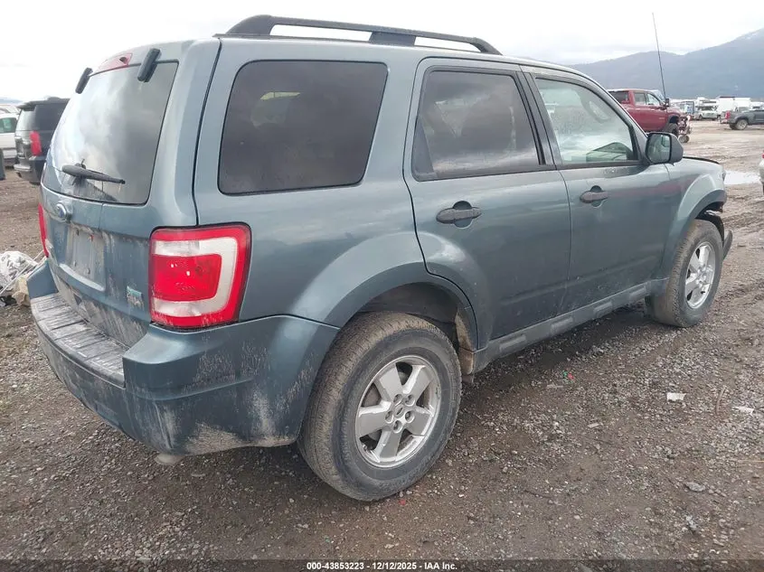 2010 FORD ESCAPE XLT