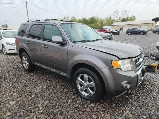 2010 FORD ESCAPE LIMITED  
