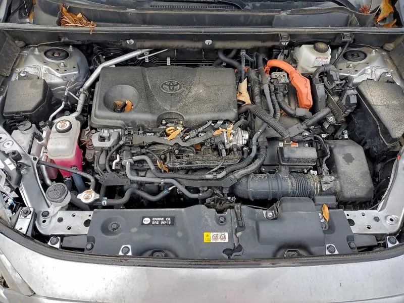 2023 TOYOTA RAV4 XSE  