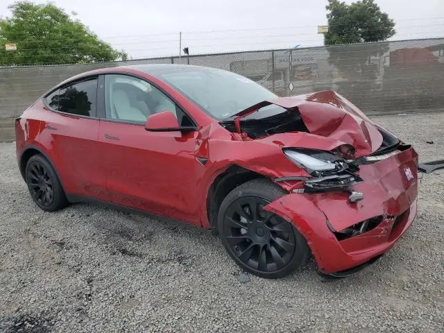 2024 TESLA MODEL Y   