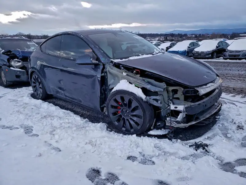 2023 TESLA MODEL Y   