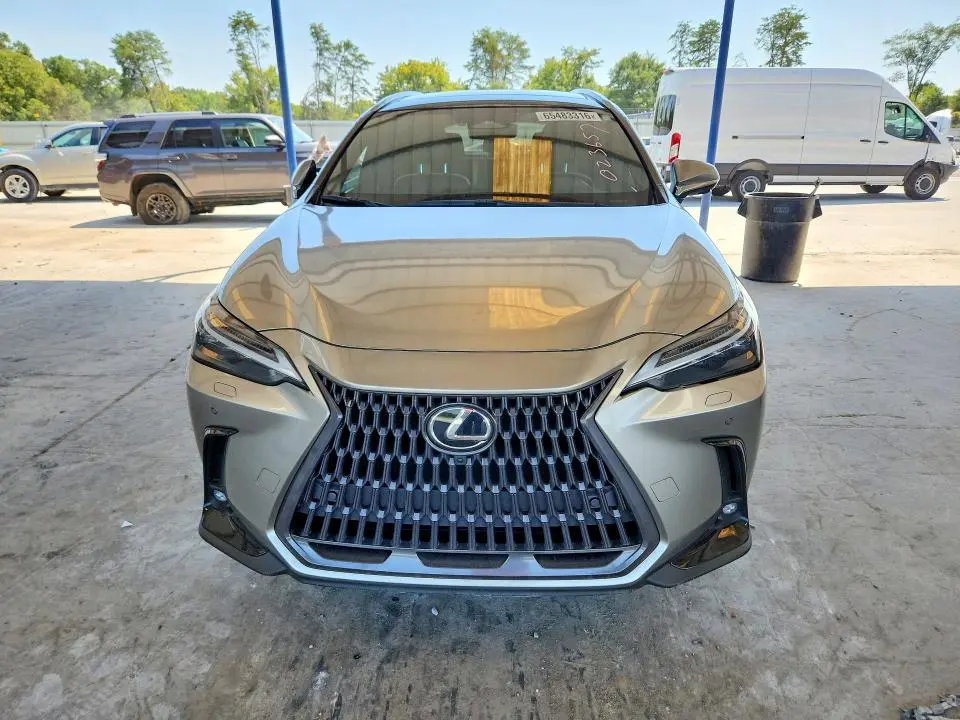 2024 LEXUS NX 350H LUXURY  