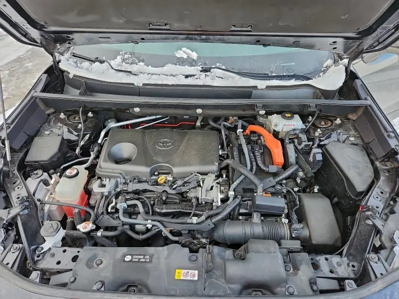 2019 TOYOTA RAV4 XLE  