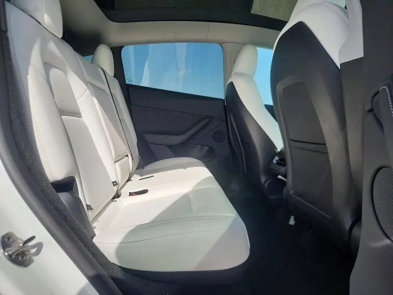 2025 TESLA MODEL Y   