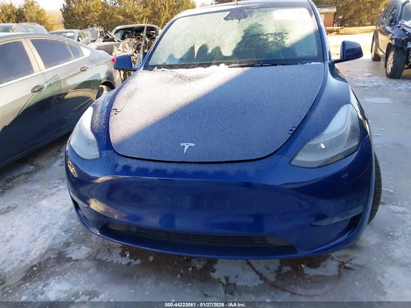 2024 TESLA MODEL Y RWD
