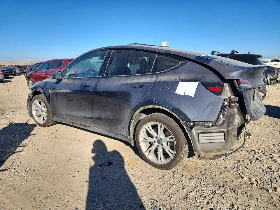 2021 TESLA MODEL Y   