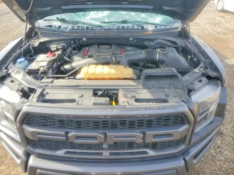 2019 FORD F150 RAPTOR  