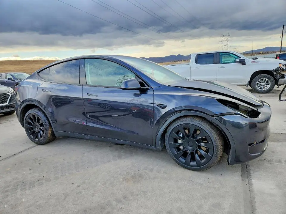2024 TESLA MODEL Y   