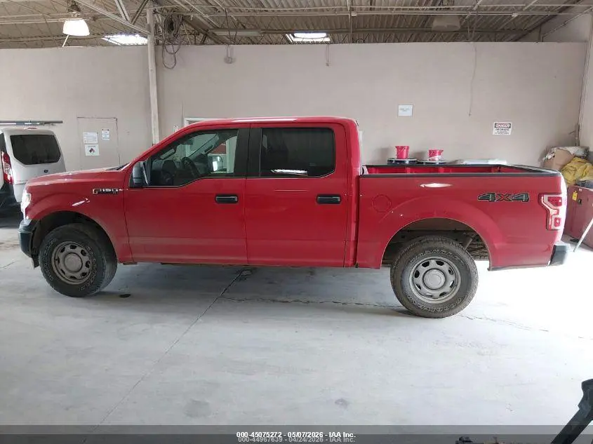 2020 FORD F-150 XL