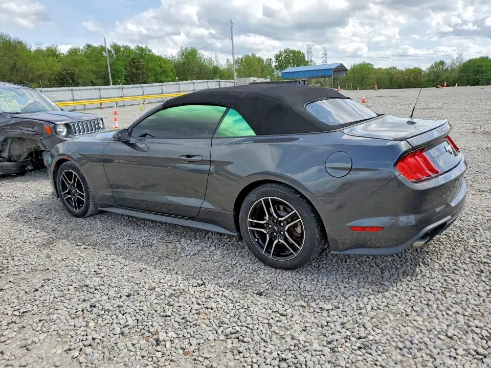 2019 FORD MUSTANG   