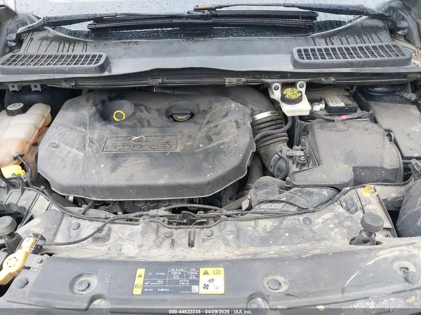 2013 FORD ESCAPE SEL