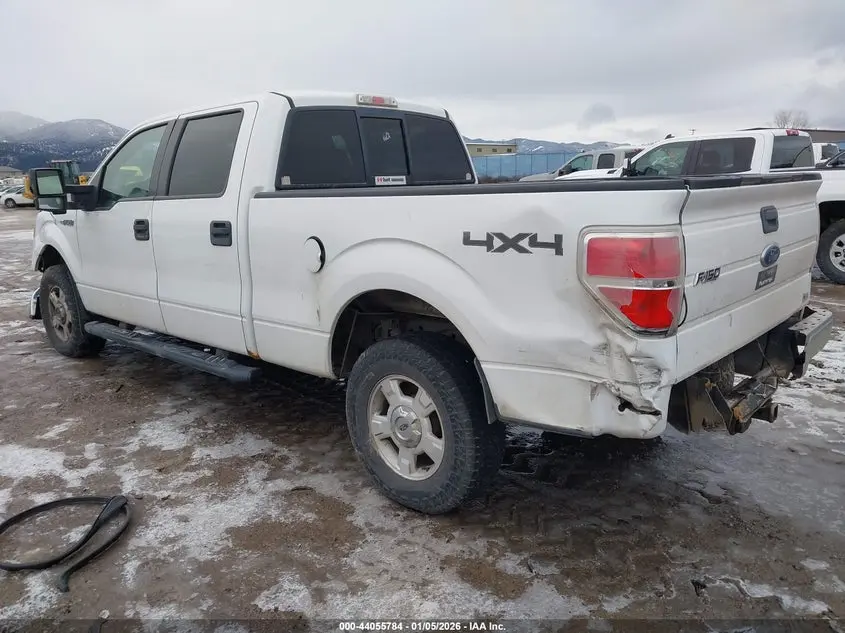 2010 FORD F-150 FX4/HARLEY-DAVIDSON/KING RANCH/LARIAT/PLATINUM/XL/XLT