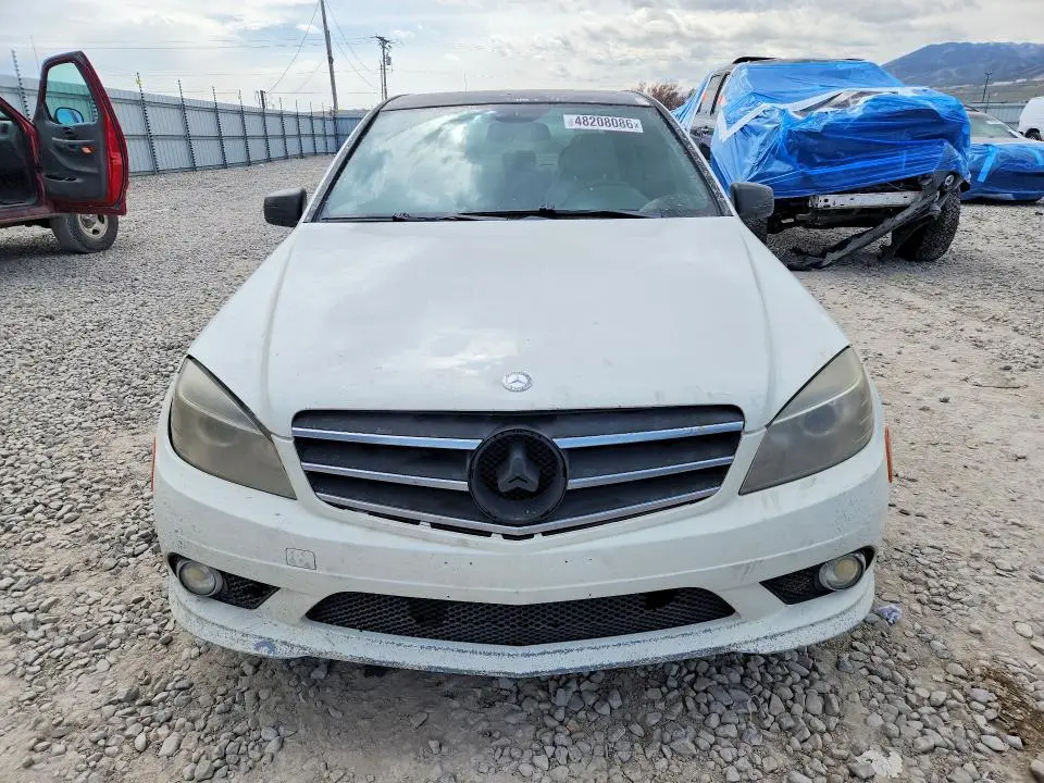 2010 MERCEDES-BENZ C 300  